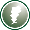 lihuen logo